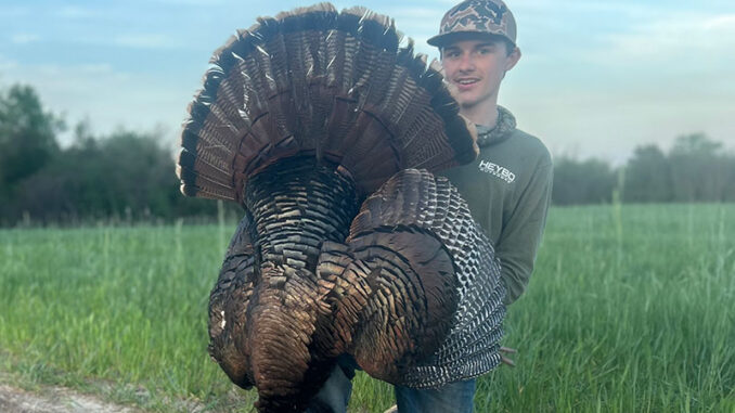 turkey