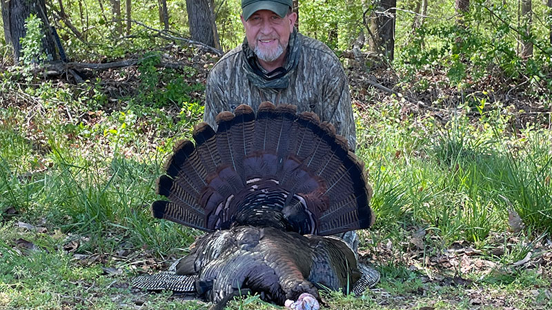 Roger Rumley killed this 20-pound turkey on April 13, 2024 in Guilford County, NC. The gobbler had an 11 1/4-inch beard.