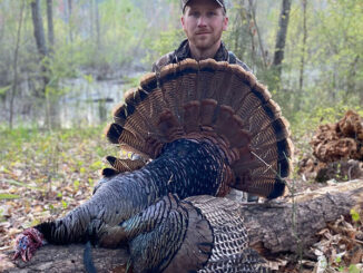27-pound gobbler