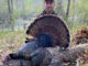 27-pound gobbler