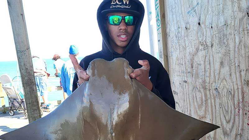 Ian Walker caught this cownose ray while fishing from the Kure Beach Pier during the spring of 2024.