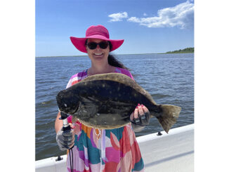 flounder
