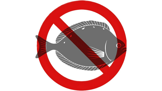 flounder