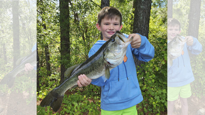 bass