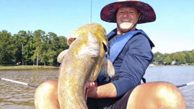 flathead