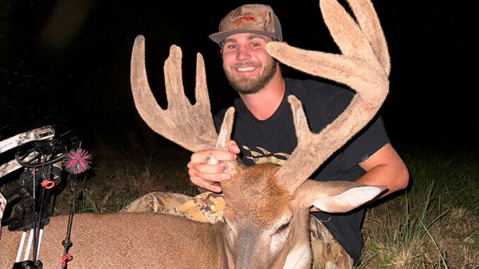 12-point buck