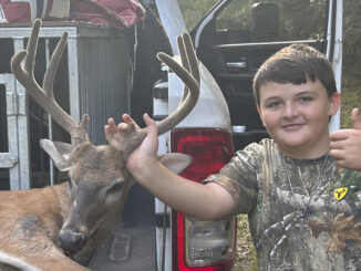 8-point buck