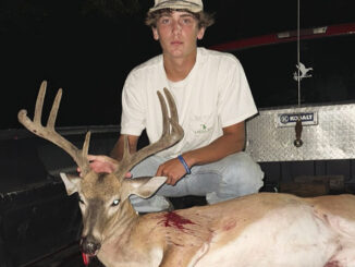 8-point buck