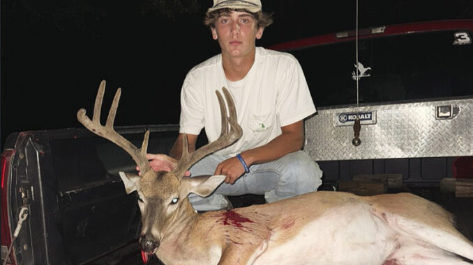 8-point buck