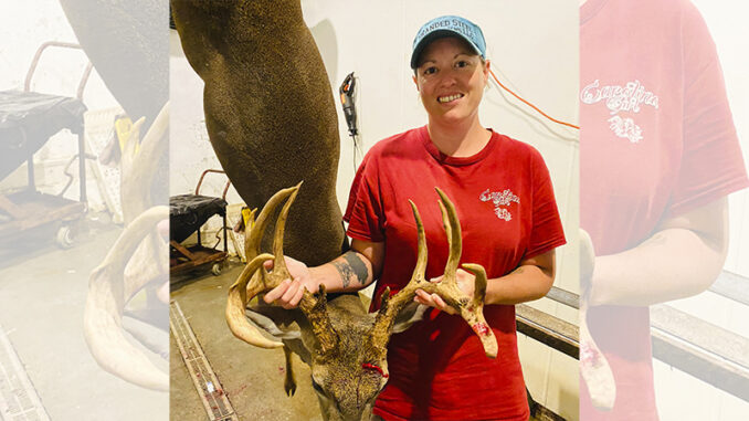 12-point buck