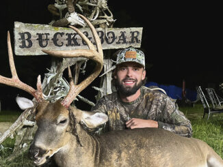 8-point buck