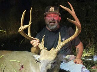 8-point