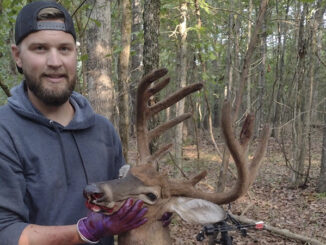 buck