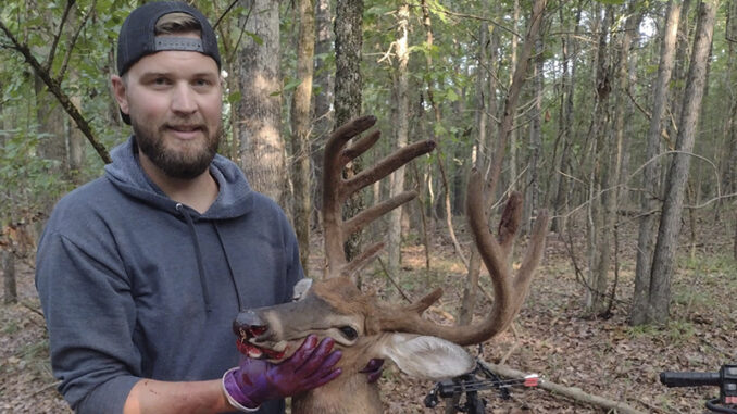 buck