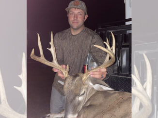 buck