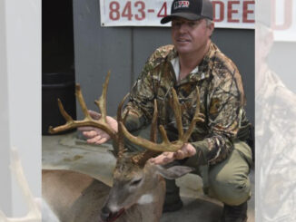 Wade Cook