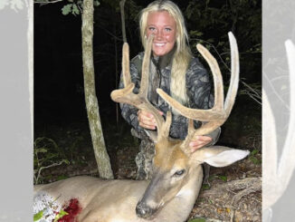 8-point buck