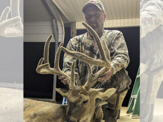 buck