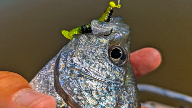 8 foot fishing net Bait Buster Bait Cast Net: 3/8