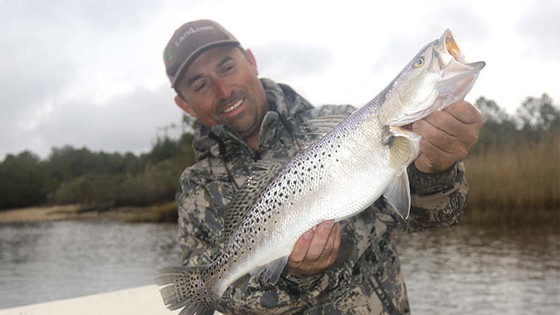 speckled trout