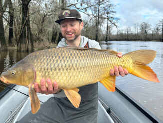 carp