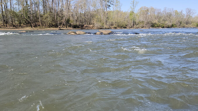 Wateree River