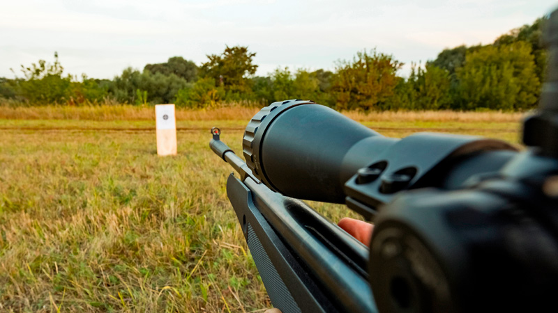 Air gun accuracy
