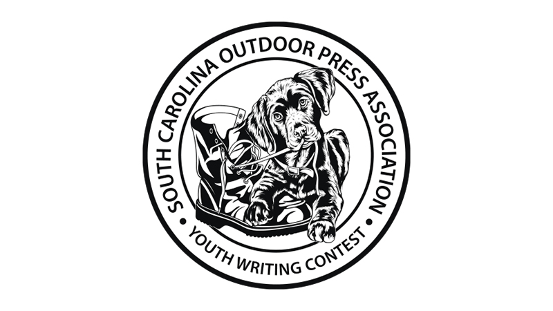 writing contest