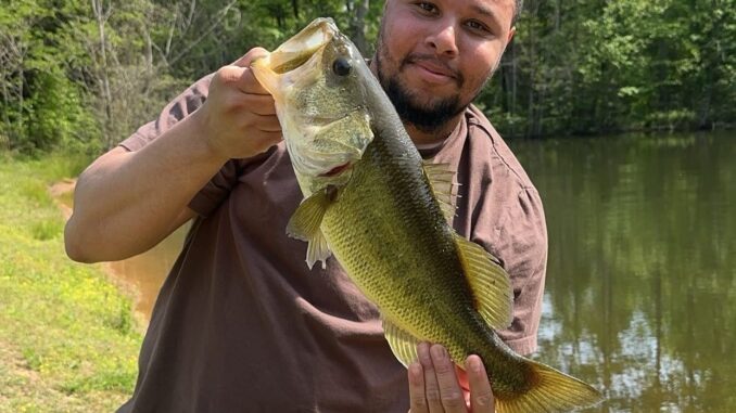 bass