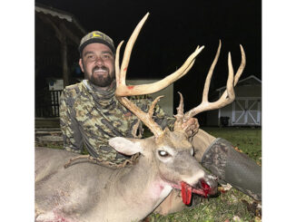 14-point