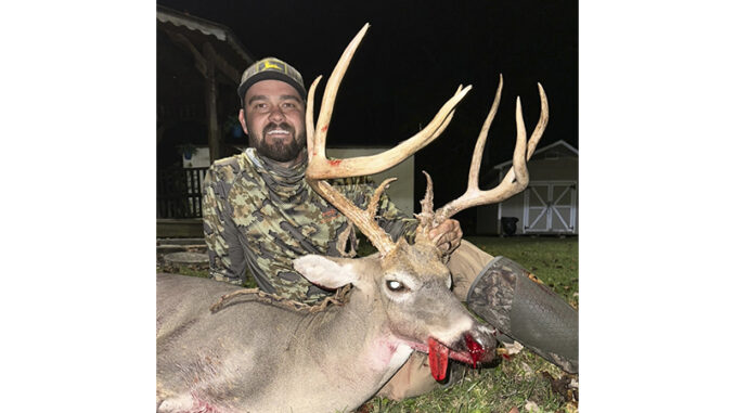 14-point