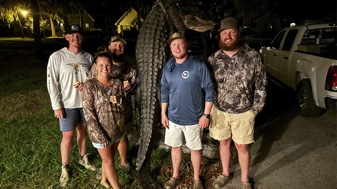gator