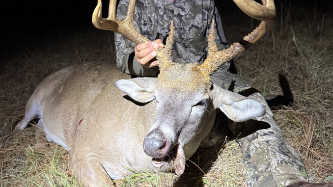 9-point