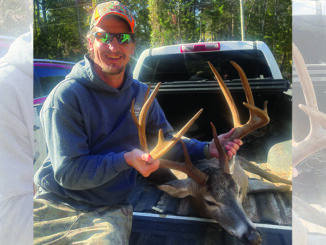 buck
