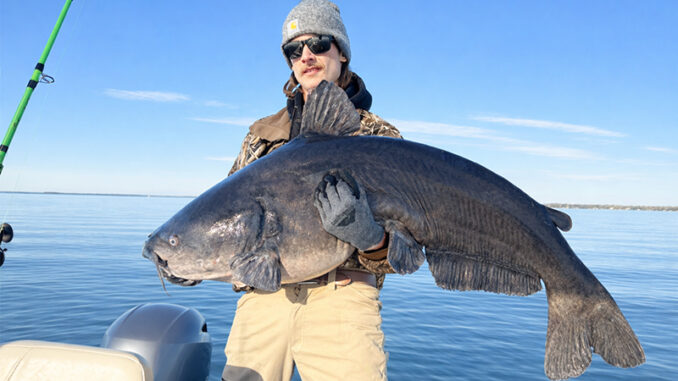 73-pound catfish
