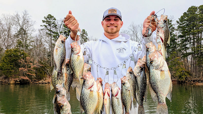 Crappie