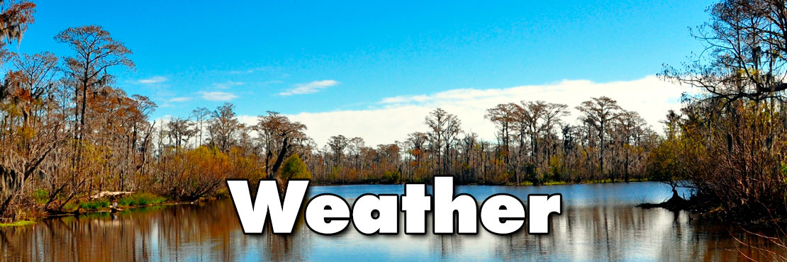 Weather-Website-1110x370