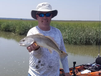 redfish