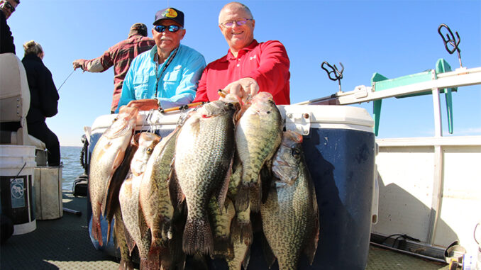 brush pile crappie
