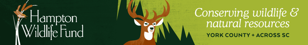 Hampton Wildlife Fund