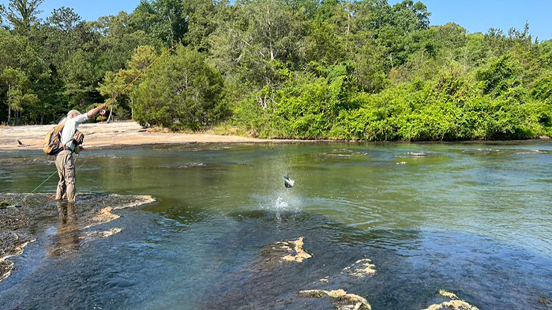 Flint River