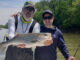 striped bass