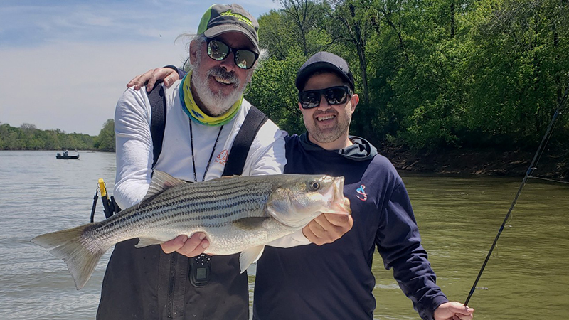 NCWRC suspends striped bass harvesting in Roanoke River Management Area - Carolina Sportsman NCWRC suspends striped bass harvesting in Roanoke River Management Area - Carolina Sportsman