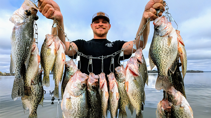 crappie