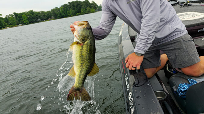 Lake Tillery