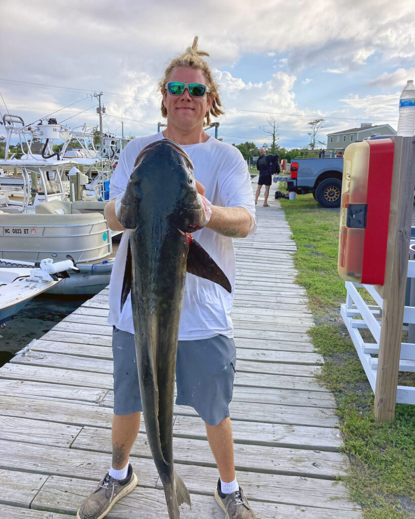 cobia