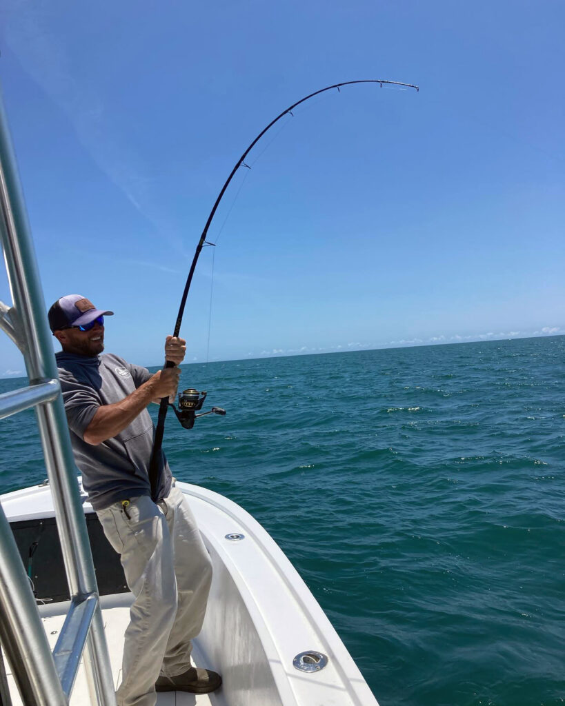 cobia