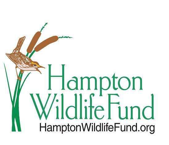 Hampton Wildlife Fund