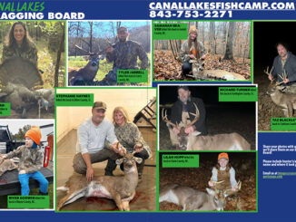 June Bragging Board