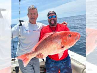 red snapper